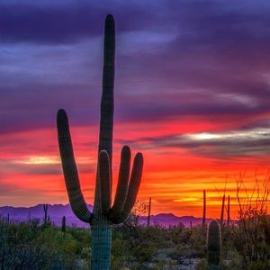 Meet your Posher, Miguel